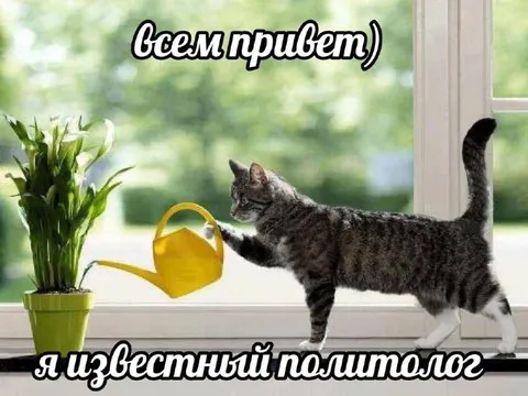 Я известный политолог