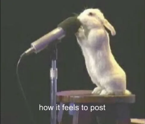 Rabbit Singing Into Microphone