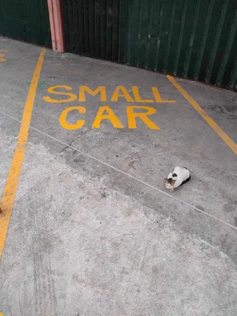 Small Car Parking Spot