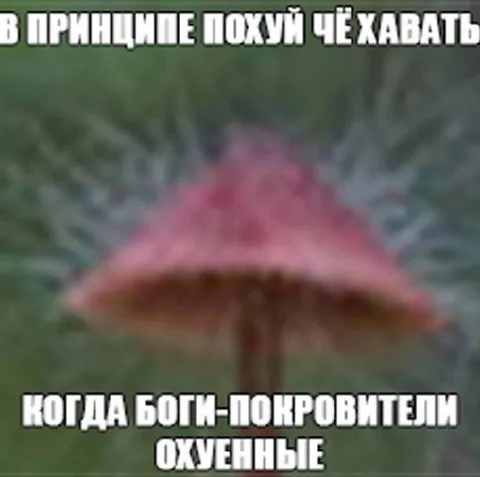 Боги-покровители охуенные
