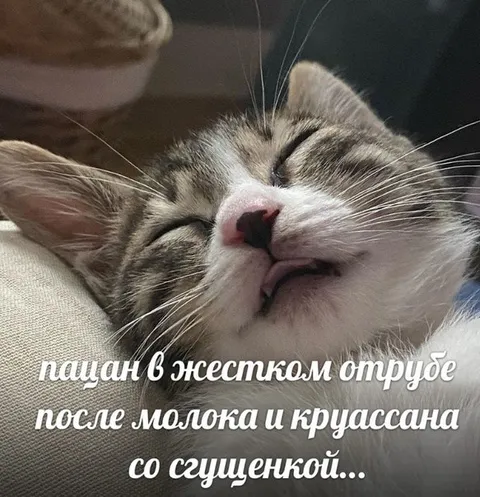 Пацан после молока и круассана
