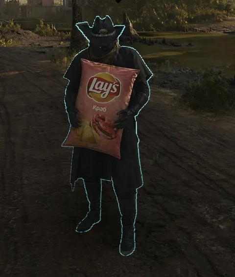 Сталкер с чипсами Lay's