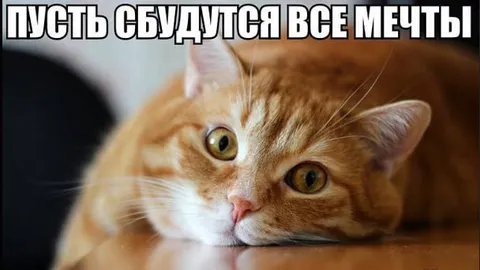 Пусть сбудутся все мечты