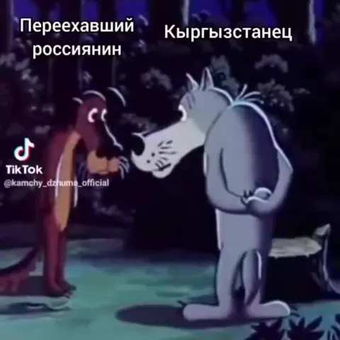 Переехавший россиянин и кыргызстанец
