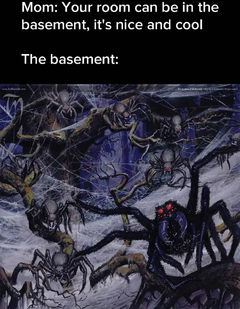 Basement Full of Giant Spiders