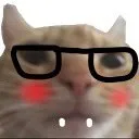 Котик в очках с румянцем