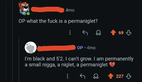 What the Fuck Is a Permaniglet?
