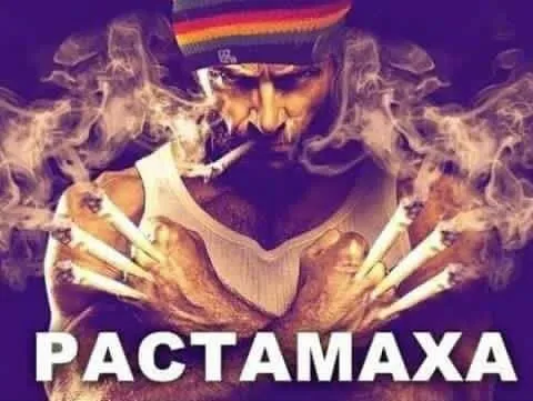 Растамаха с дымом