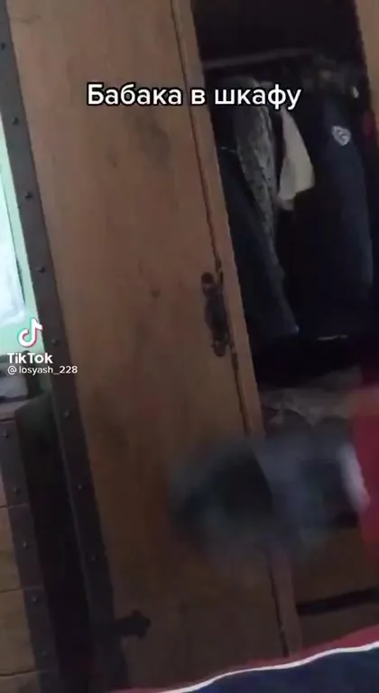Таблетка от шизы и друзья
