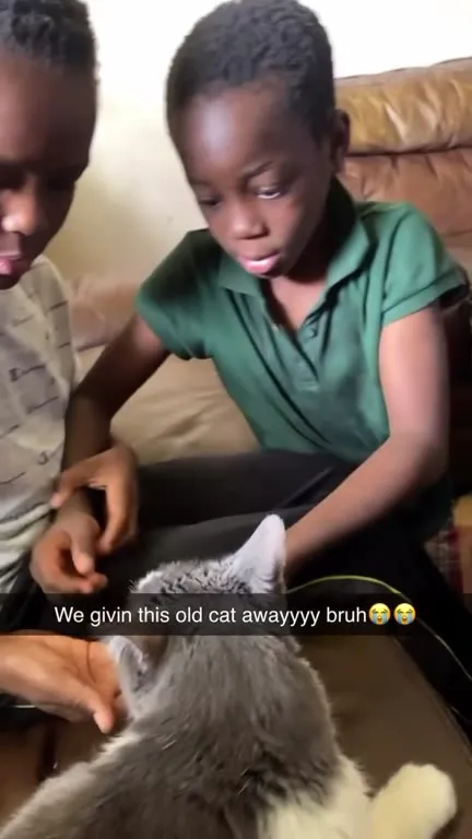 Giving This Old Cat Away