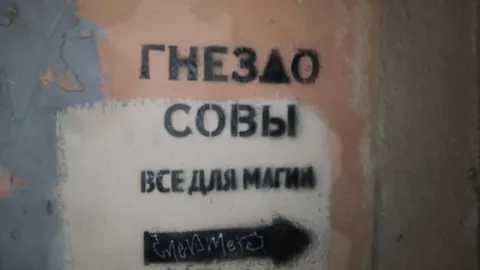 Гнездо совы для магии