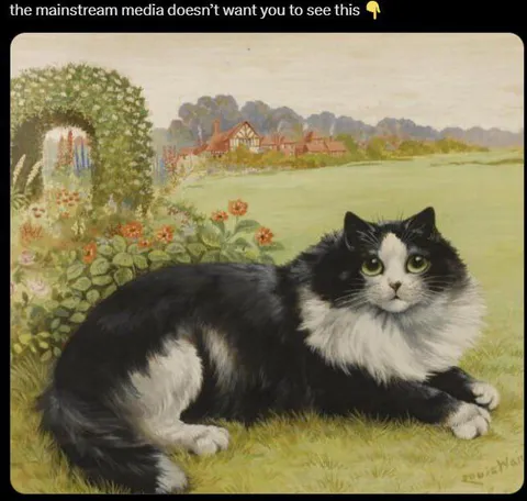 Mainstream Media Cat