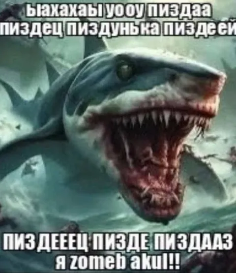 Безумная акула кричит