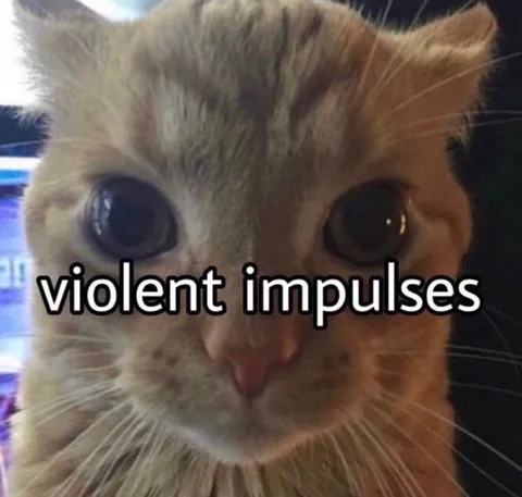 Violent Impulses Cat