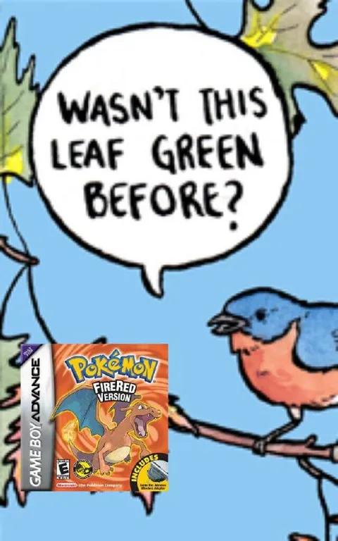 Wasn't This Leaf Green Before?
