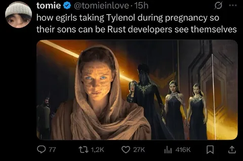 Pregnant E-Girls Raise Rust Developers
