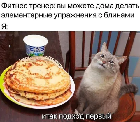 Кот готовится к блинам