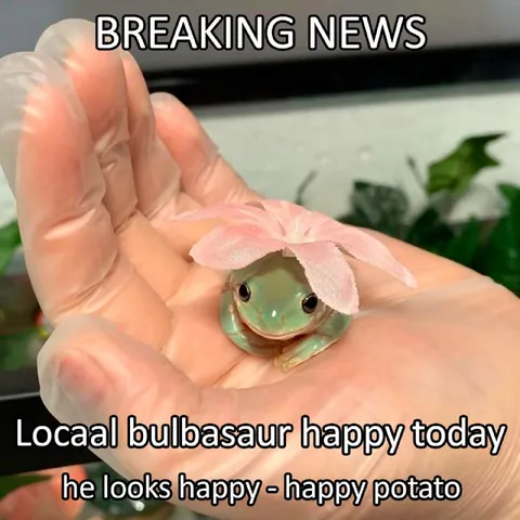 Happy Bulbasaur Breaking News
