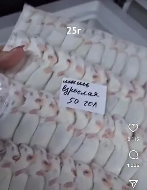 Мыши вместо мяса
