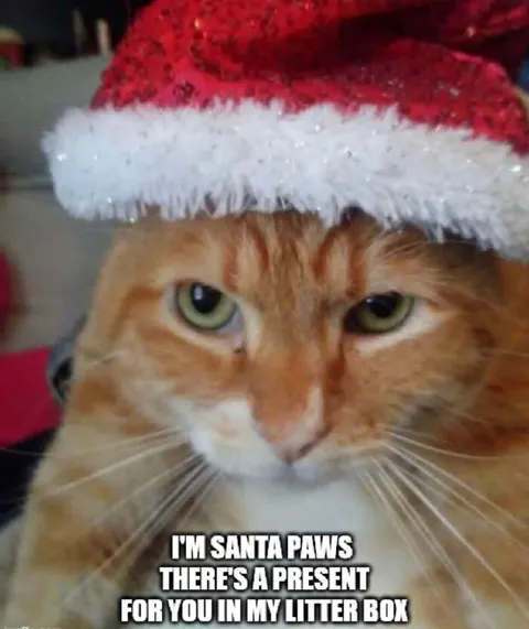 Santa Paws Has a Present