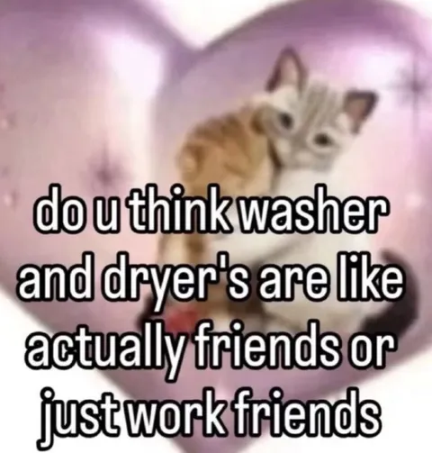 Are Washers and Dryers Friends?