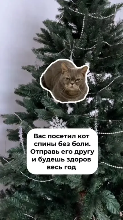 Кот на ёлке без боли