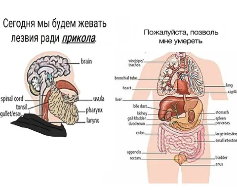 Жевать лезвия ради прикола