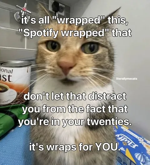 Spotify Wrapped in Your Twenties
