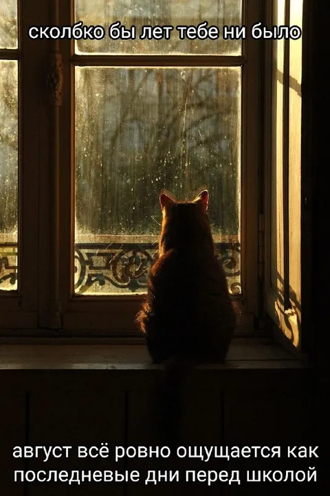 Последние дни перед школой