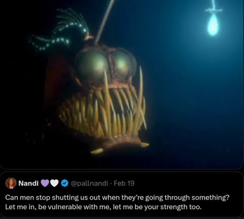 Vulnerable Anglerfish Tweet
