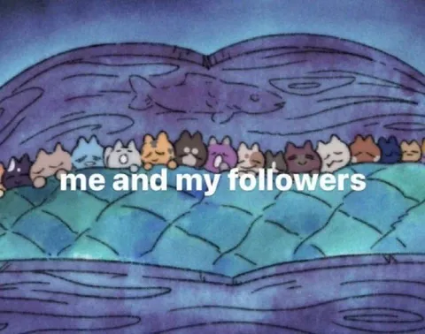 Me and My Followers Sleeping