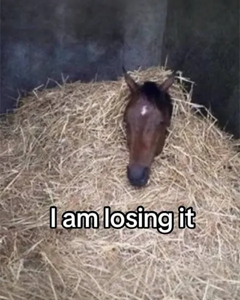 Horse Losing It in Hay