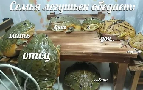Семья лягушек обедает