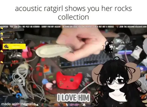 Acoustic Ratgirl's Rock Collection