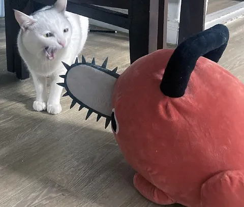 Кот против страшной игрушки