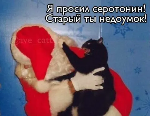 Я просил серотонин