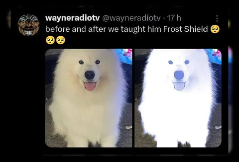 Dog Learns Frost Shield
