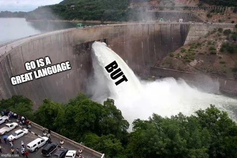 Go Is a Great Language But