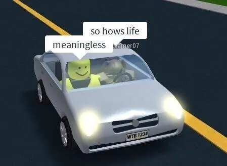 So Hows Life Meaningless