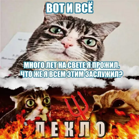 Кот в аду за жизнь