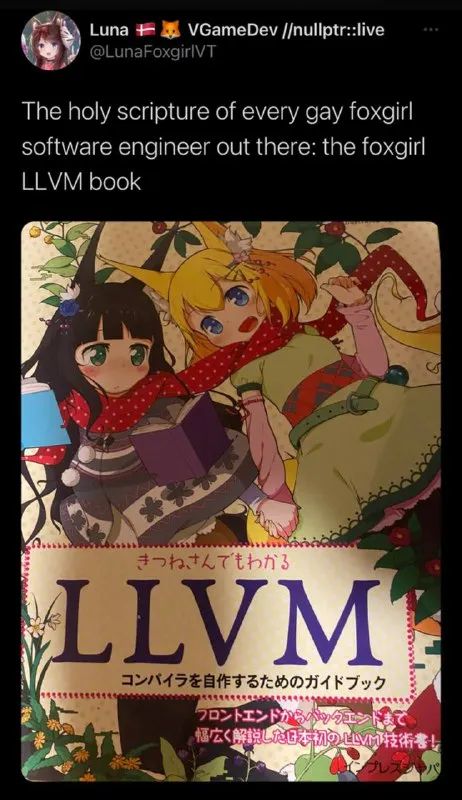 LLVM Book for Foxgirl Engineers
