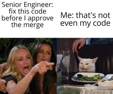Senior Engineer Approves the Merge