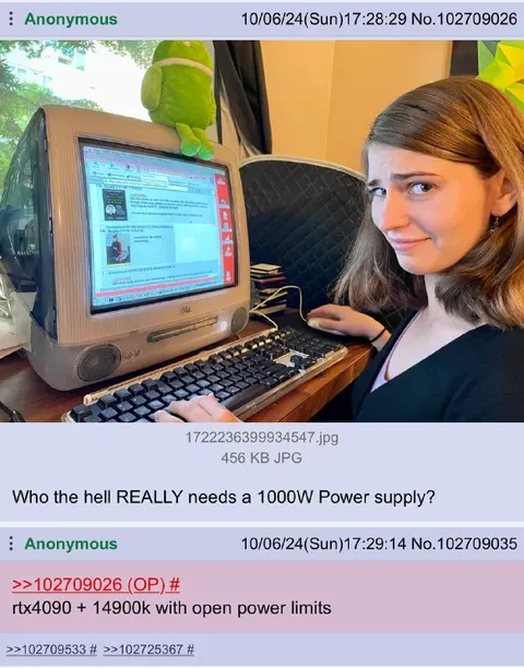 Who Needs a 1000W Power Supply