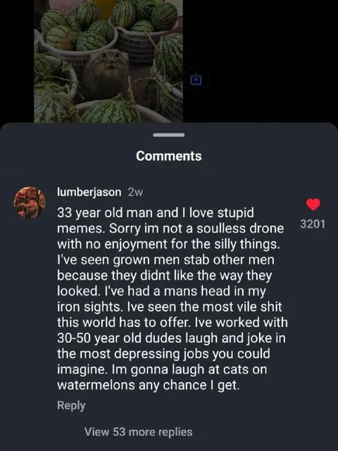 Cats on Watermelons