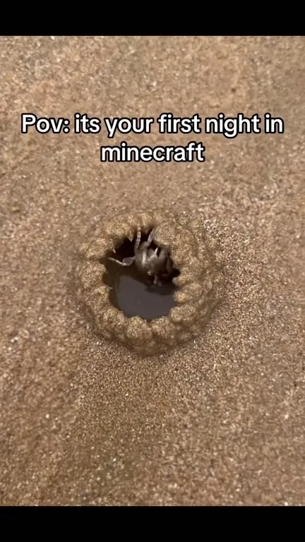 First Night in Minecraft