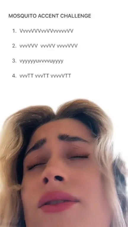 Mosquito Accent Challenge