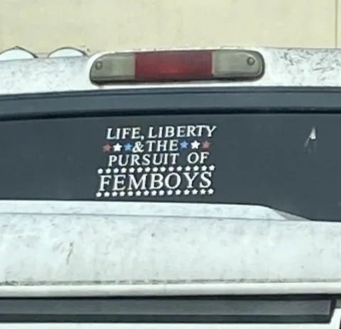 Pursuit of Femboys Sticker
