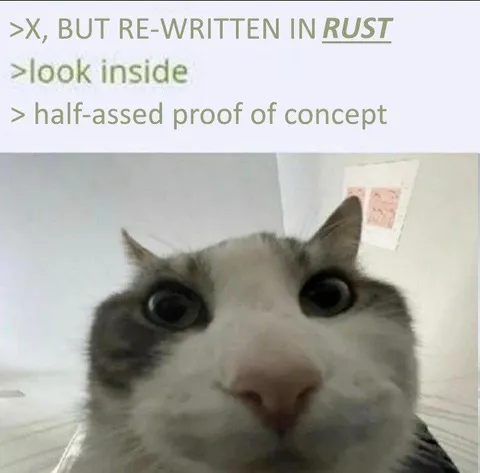 Rewritten in Rust Cat