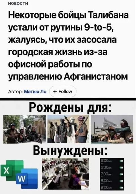 Талибы устали от офисной работы