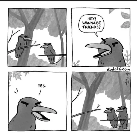Crow Wants to Be Friends
